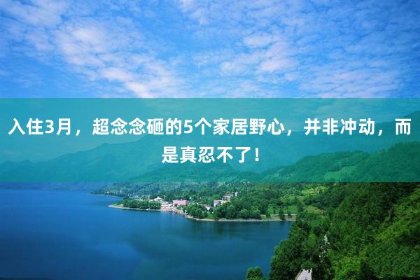 入住3月，超念念砸的5个家居野心，并非冲动，而是真忍不了！