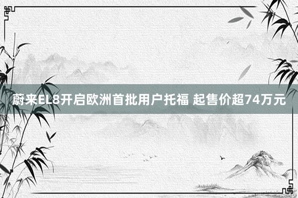 蔚来EL8开启欧洲首批用户托福 起售价超74万元