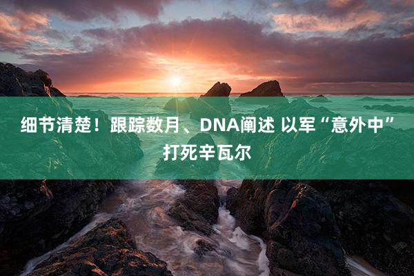 细节清楚！跟踪数月、DNA阐述 以军“意外中”打死辛瓦尔