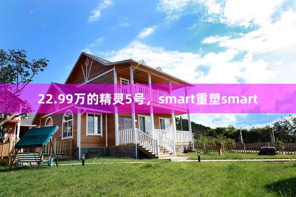 22.99万的精灵5号，smart重塑smart