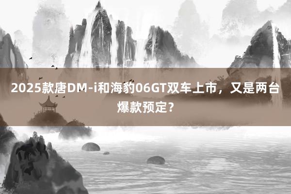 2025款唐DM-i和海豹06GT双车上市，又是两台爆款预定？