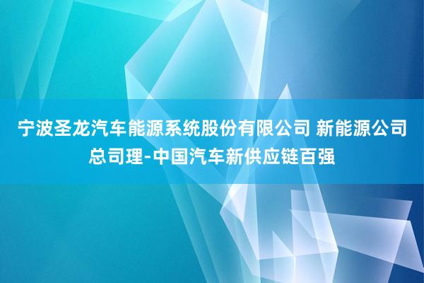 宁波圣龙汽车能源系统股份有限公司 新能源公司总司理-中国汽车新供应链百强